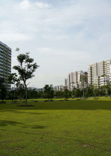 Tampines Boulevard Park