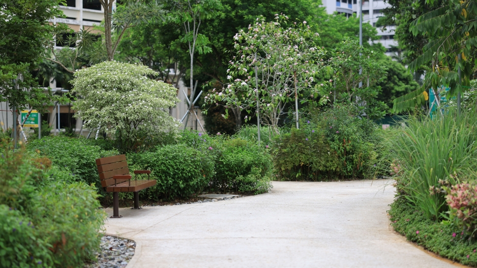 park detail carousel