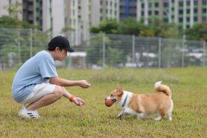Dog run (east section)