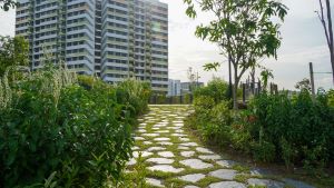 Elevated garden (west section)
