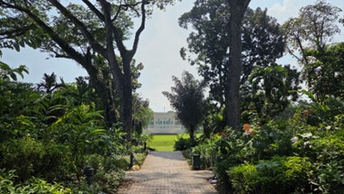 Contemplative landscape