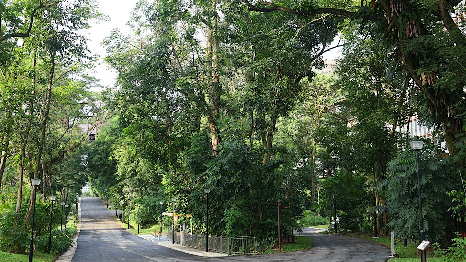 park detail carousel