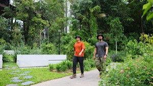 Themed walking trails