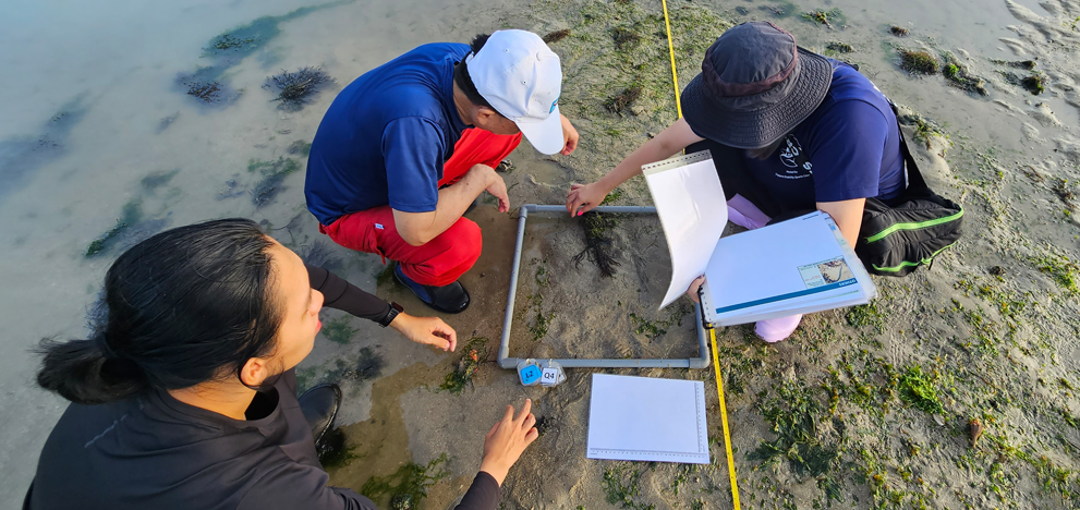 park detail footer image