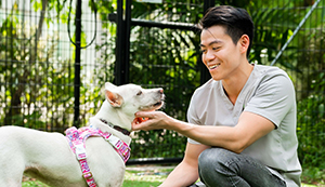 Animal & Veterinary Service