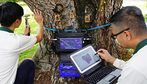 Centre for Urban Greenery and Ecology