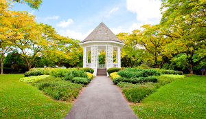 Singapore Botanic Gardens