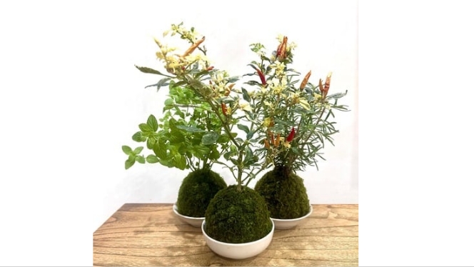 event detail picture