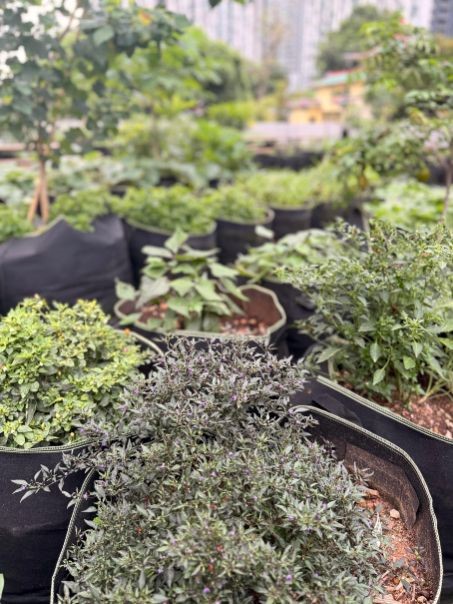 event detail picture