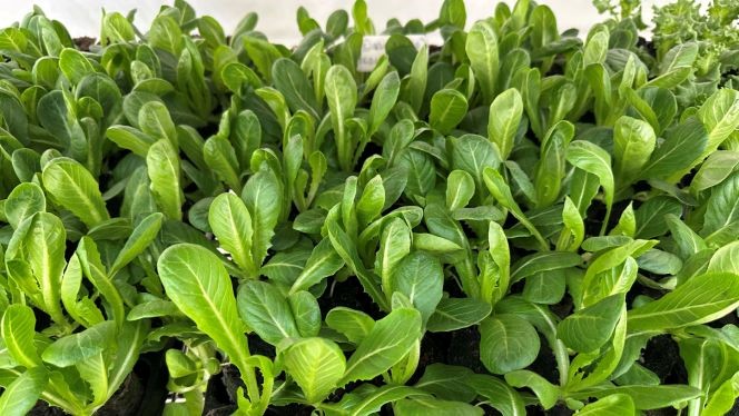 event detail picture