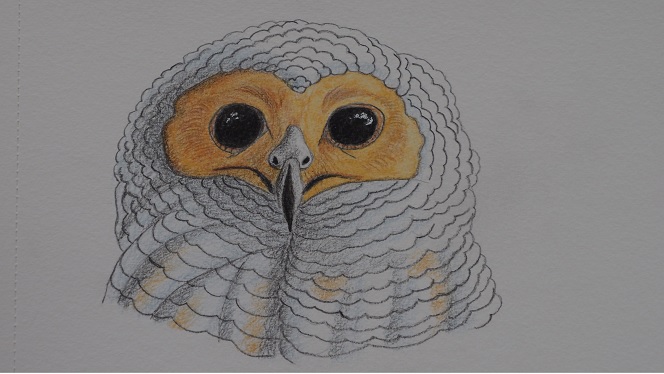 event detail picture