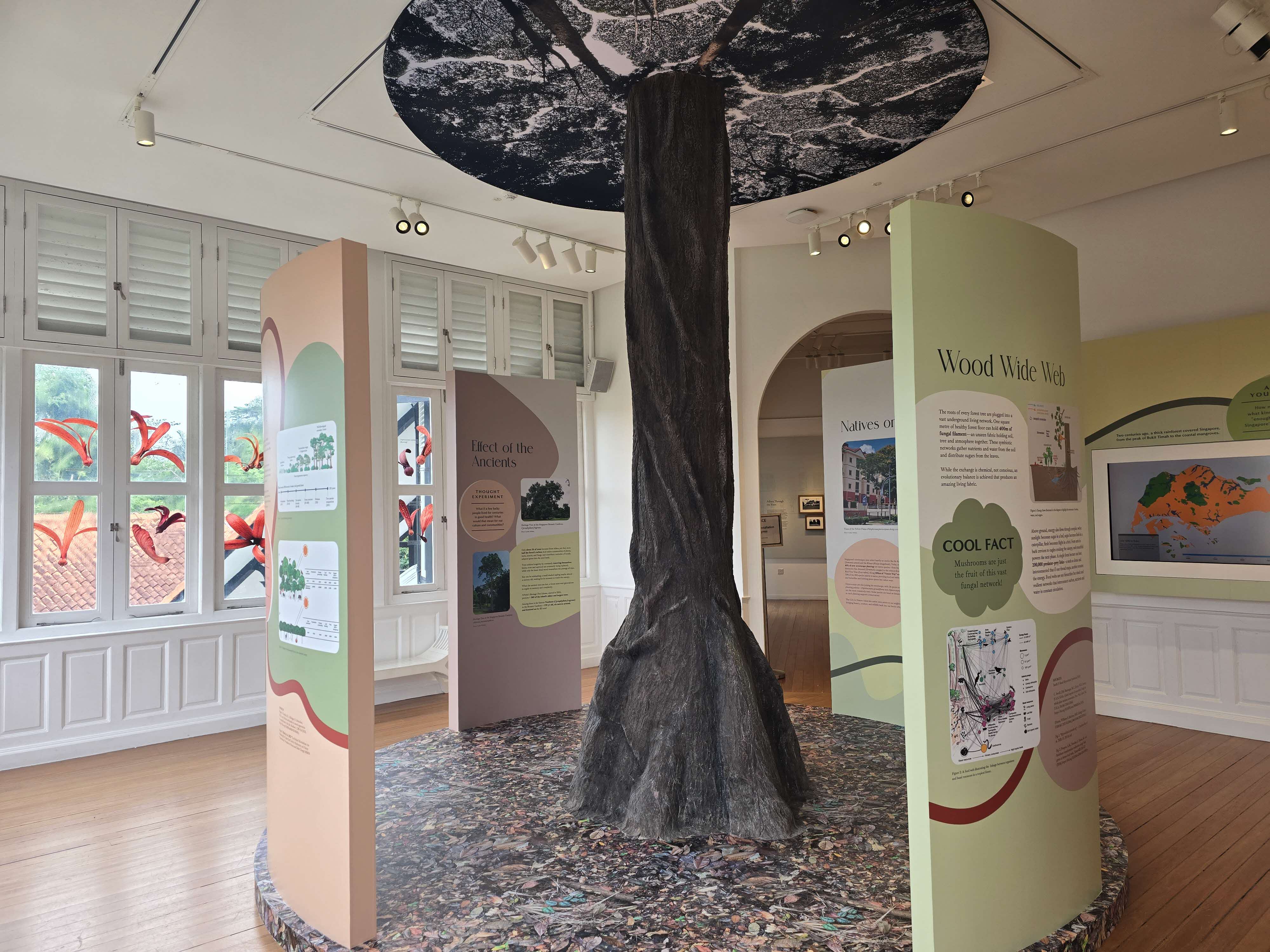 event detail picture