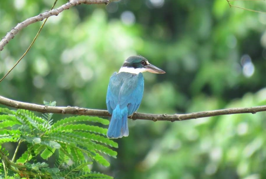 event detail picture