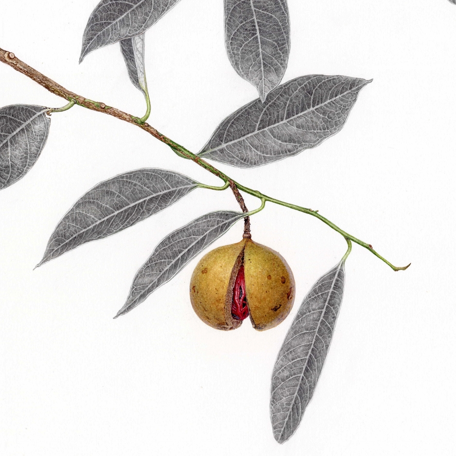 event detail picture