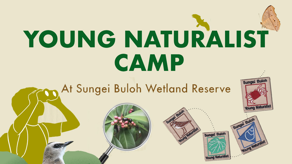 event detail picture