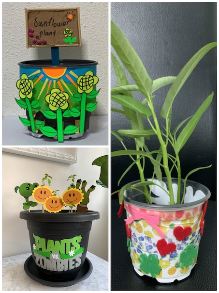 Collage plant pots