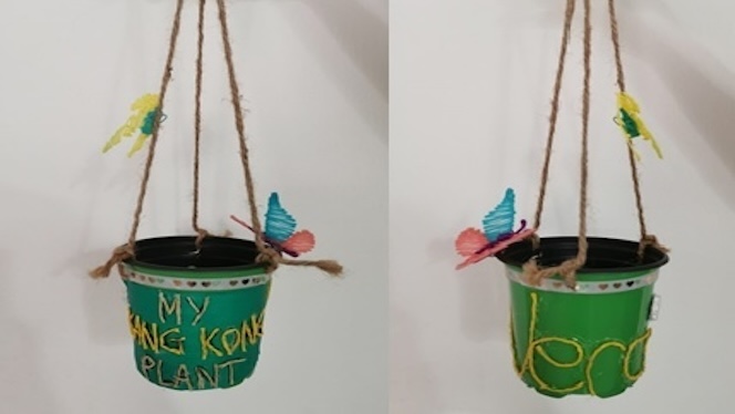 Plant labels
