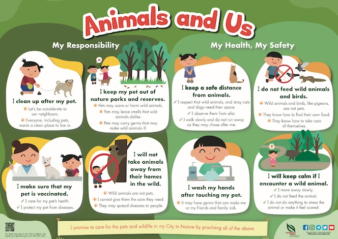 Poster animals around us responsibility sharing home animals