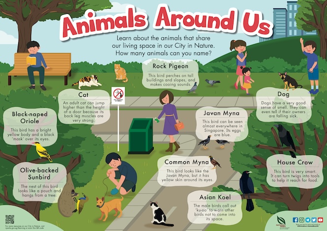 Poster animals around us sharing home animals