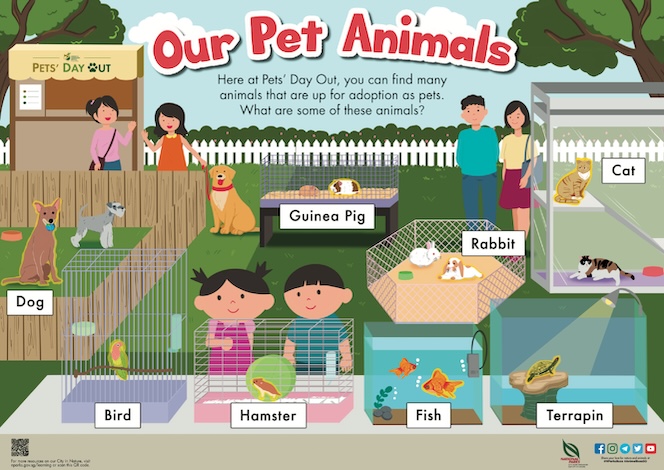 Poster our pet animals sharing home animals