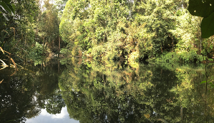 Nature Conservation Masterplan