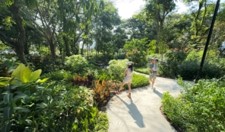 Parks for Health Framework