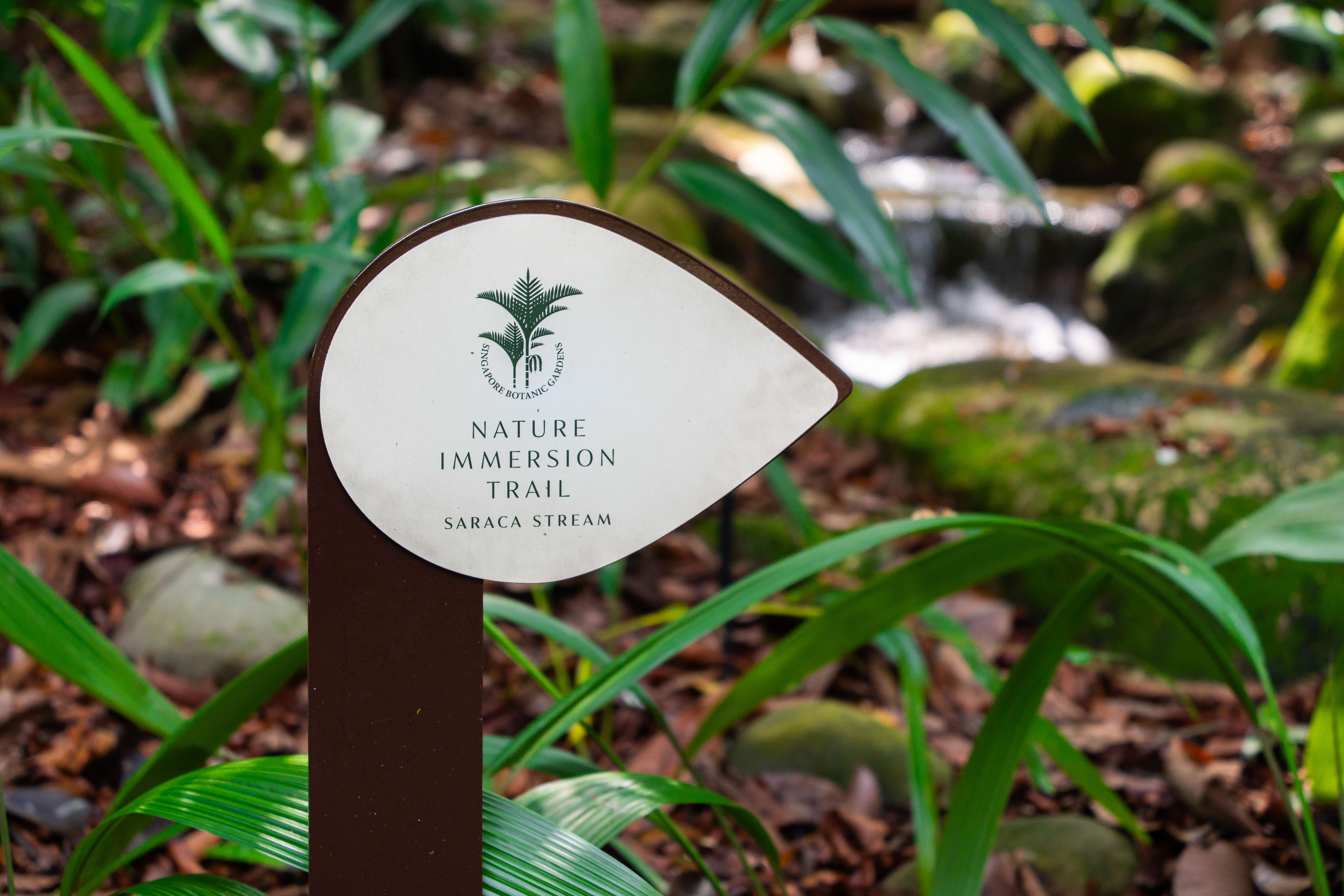 Bi-directional signpost for the Nature Immersion Trail at Saraca Stream, indicating trail directions.