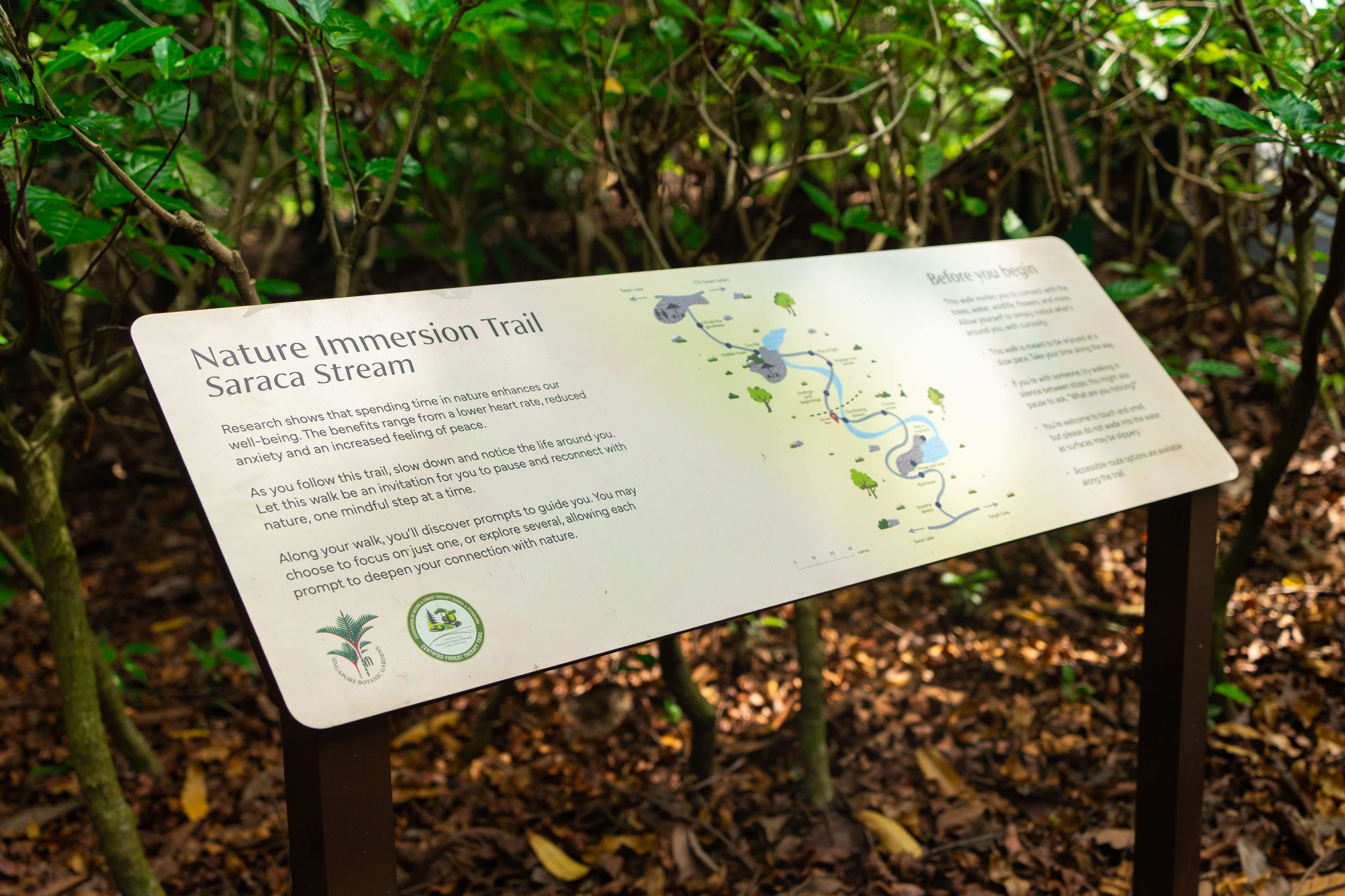 Nature Immersion Trail signboard at Saraca Stream describing research on how time near water reduces stress and improves wellbeing