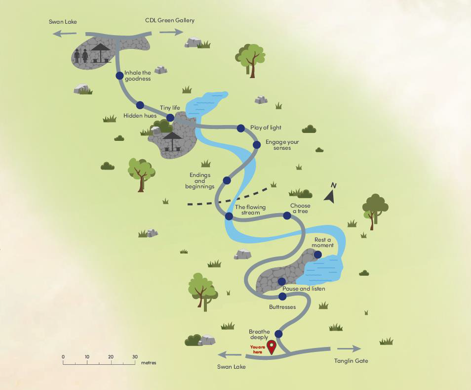 Map showing the layout and route of the Nature Immersion Trail at Saraca Stream.