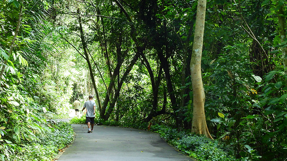park detail carousel