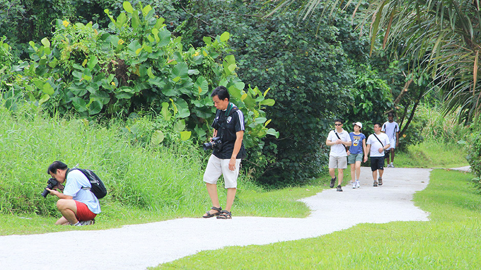 park detail carousel