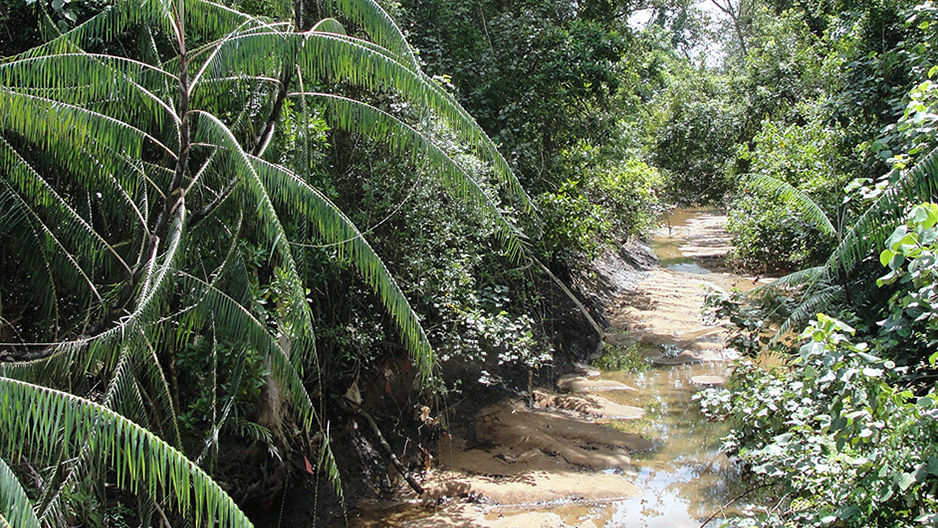 park detail carousel