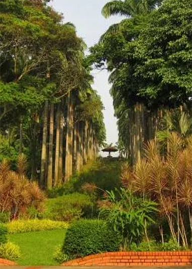 Ang Mo Kio Town Garden West