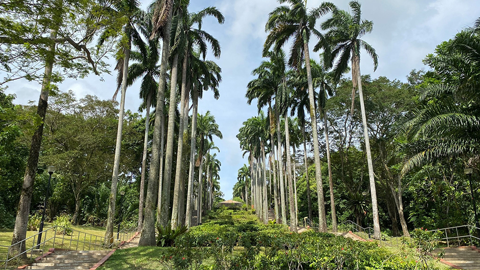 park detail carousel