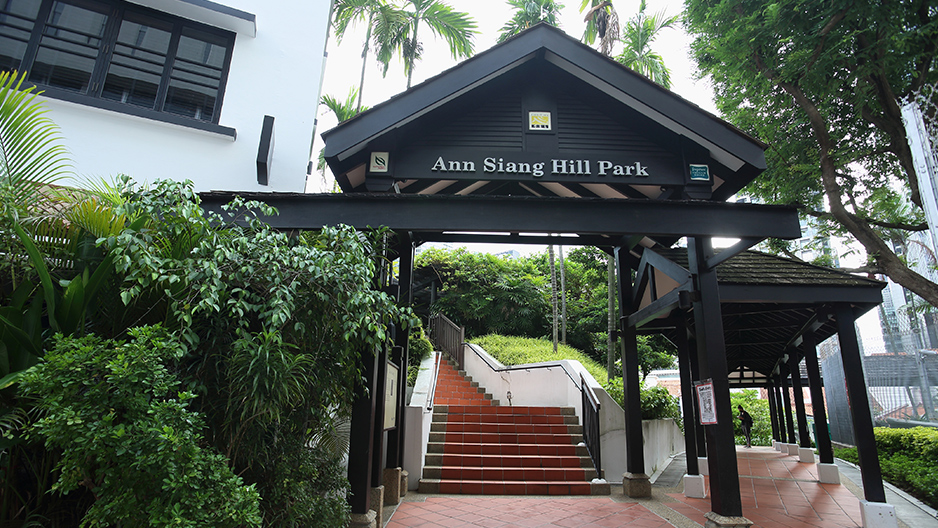 park detail carousel