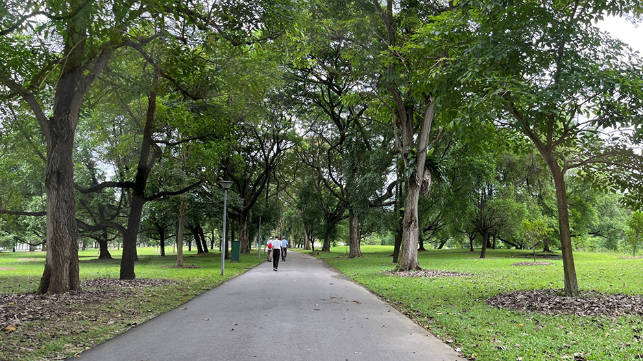 park detail carousel