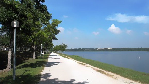 Jogging and walking track