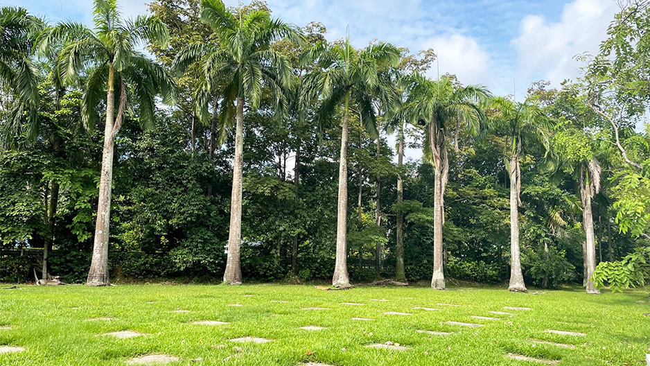 park detail carousel