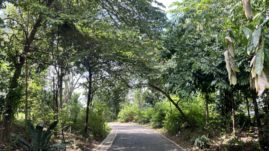 park detail carousel