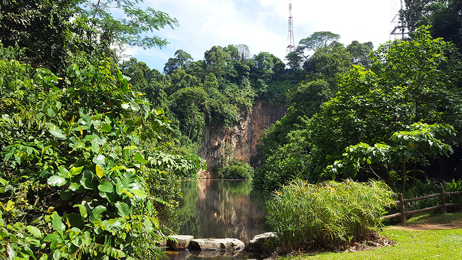 park detail carousel
