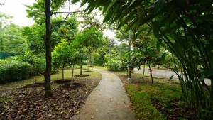 Food Forest
