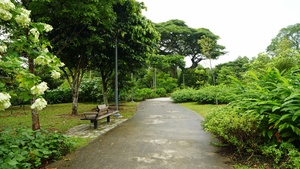 Fruit Orchard