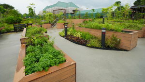 Herb and kitchen garden