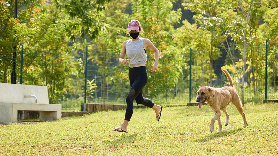 park detail carousel