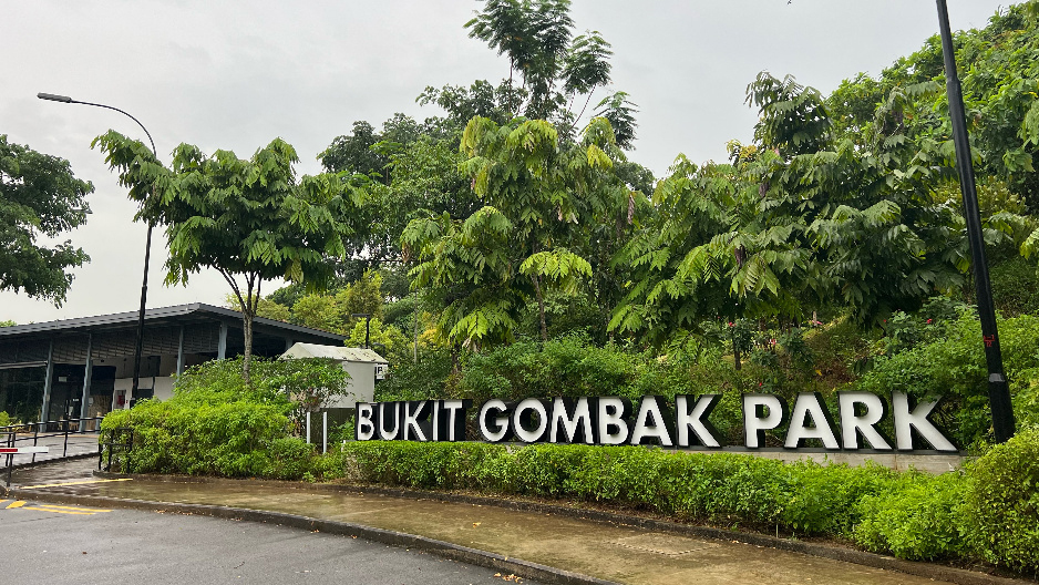 park detail carousel