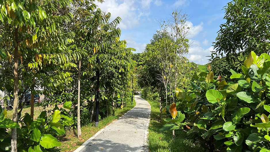 park detail carousel