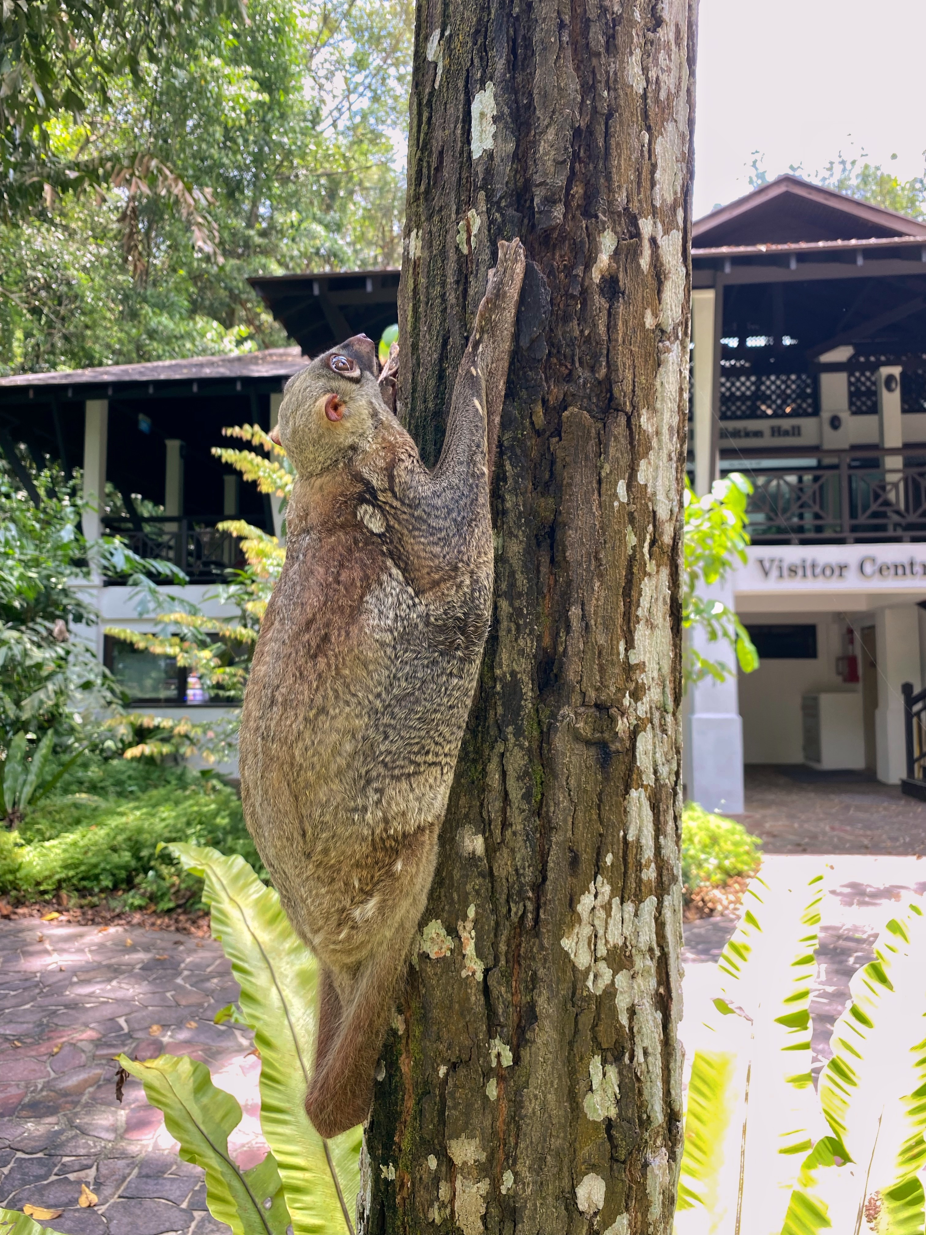park detail carousel