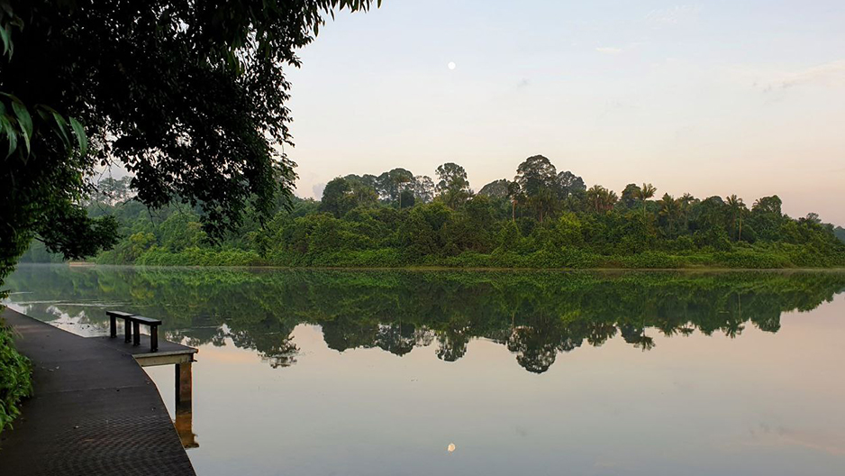 park detail carousel