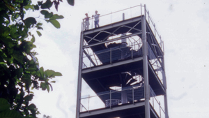 Image 10: Jelutong Tower
