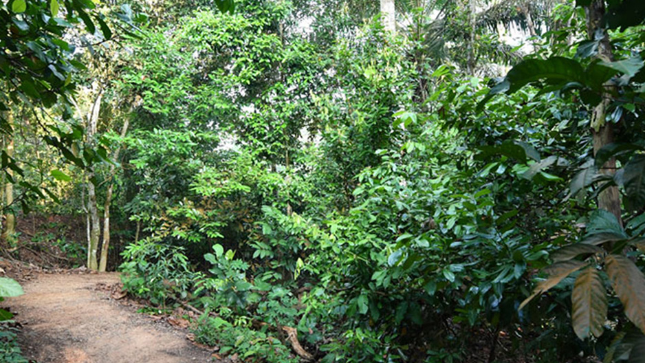park detail carousel